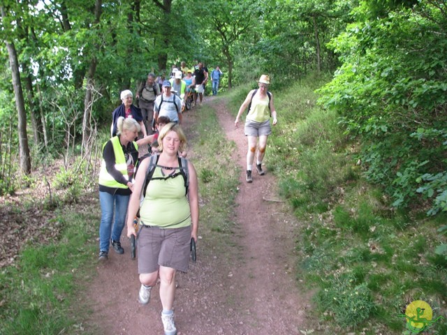 Randonnée joëlettes à Thuin