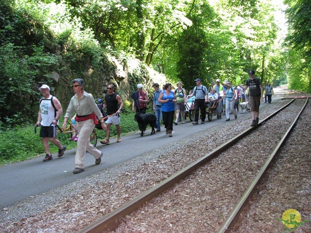 Randonnée joëlettes à Thuin