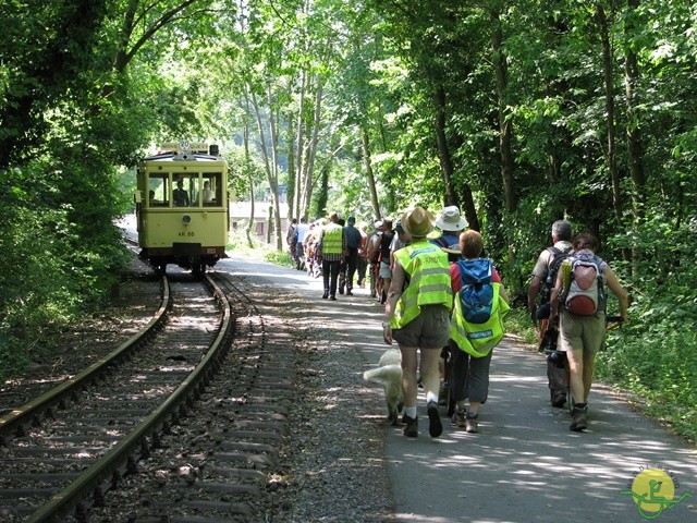 Randonnée joëlettes à Thuin