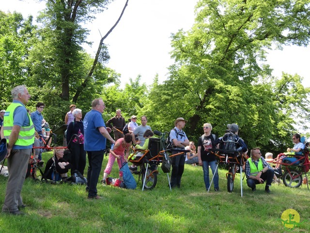 Randonnée joëlettes à Thuin