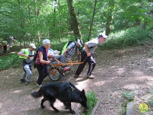 Randonnée joëlettes à Thuin