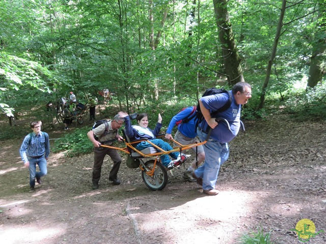 Randonnée joëlettes à Thuin