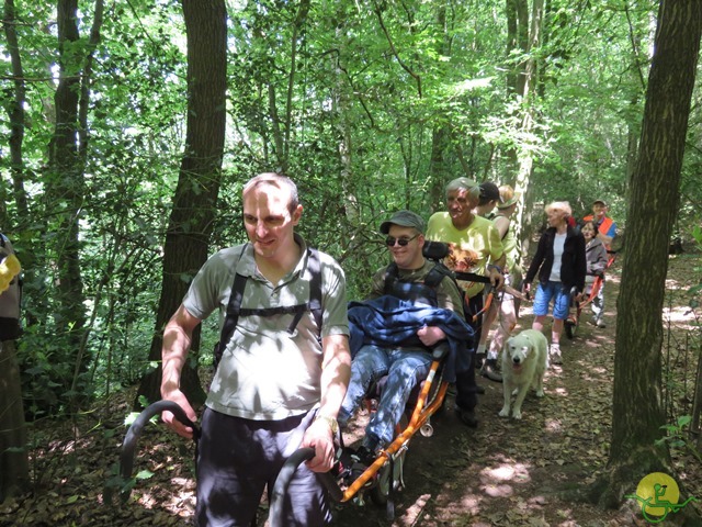 Randonnée joëlettes à Thuin