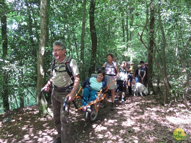 Randonnée joëlettes à Thuin