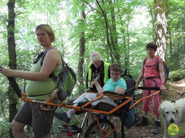 Randonnée joëlettes à Thuin