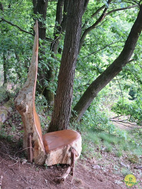 Randonnée joëlettes à Thuin