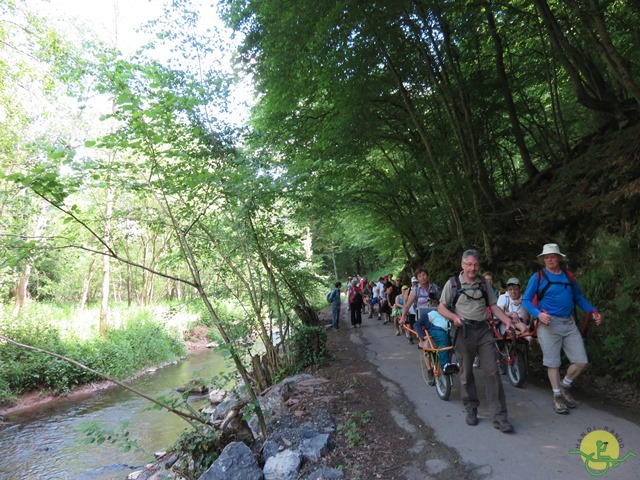 Randonnée joëlettes à Thuin