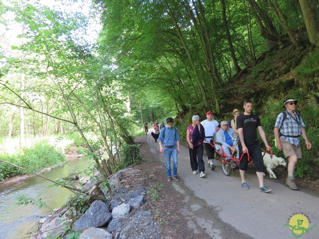 Randonnée joëlettes à Thuin