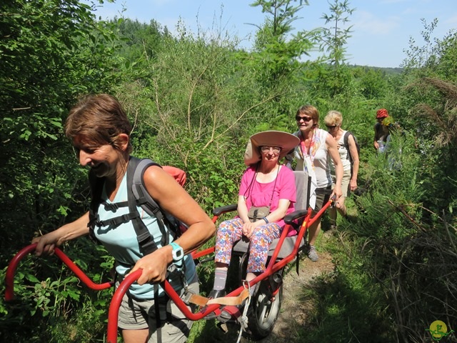 Randonnée joëlettes à Habay