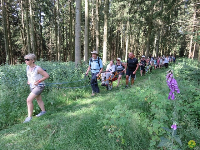 Randonnée joëlettes à Habay