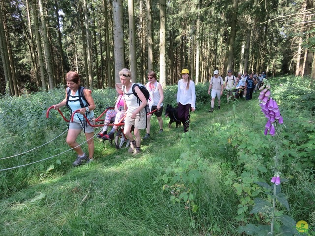 Randonnée joëlettes à Habay