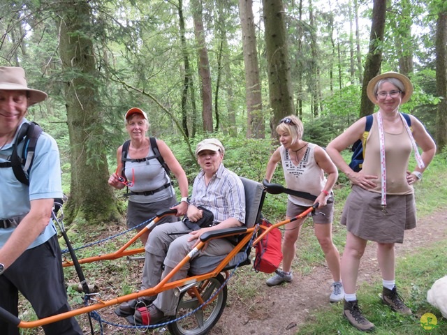 Randonnée joëlettes à Habay