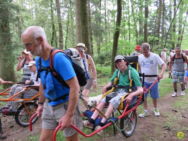 Randonnée joëlettes à Habay