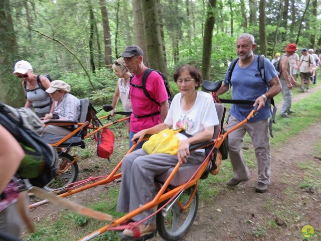 Randonnée joëlettes à Habay