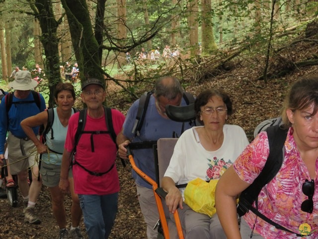 Randonnée joëlettes à Habay