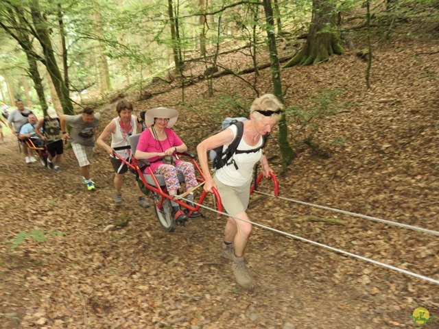 Randonnée joëlettes à Habay