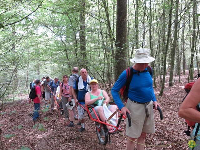 Randonnée joëlettes à Habay