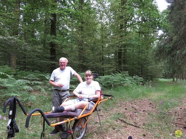 Randonnée joëlettes à Habay