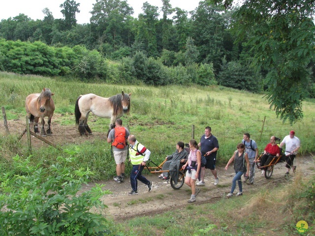 Randonnée joëlettes à Marneffe