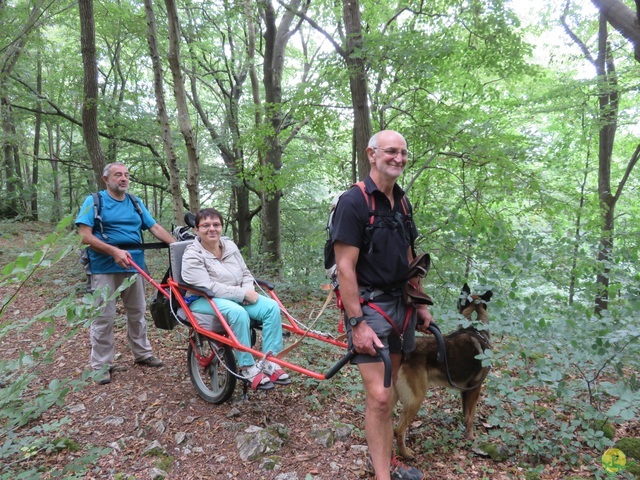 Randonnée joëlettes à Resteigne