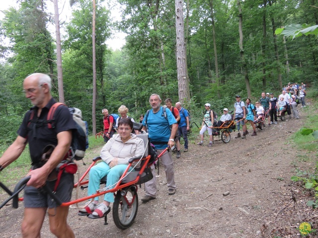 Randonnée joëlettes à Resteigne