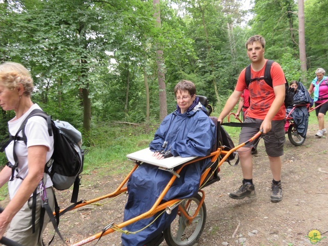 Randonnée joëlettes à Resteigne