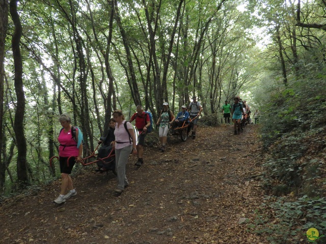 Randonnée joëlettes à Resteigne