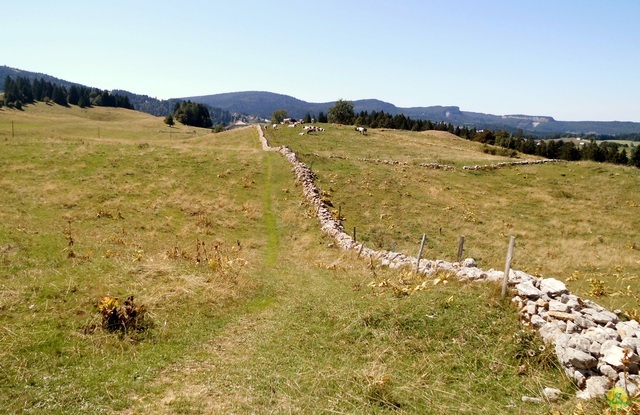 Randonnée sportive aux Moussières