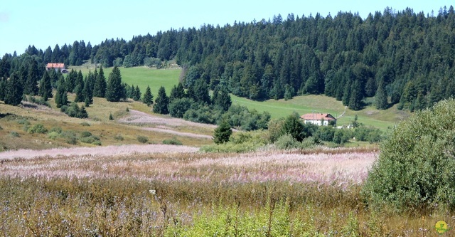 Randonnée sportive aux Moussières