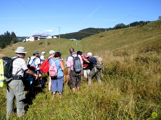 Randonnée sportive aux Moussières