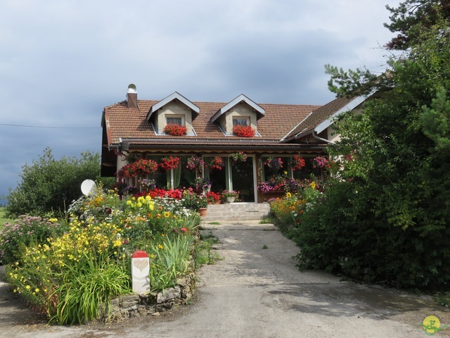 Randonnée joëlettes aux Moussières