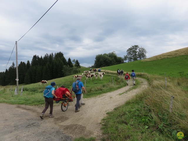 Randonnée joëlettes aux Moussières