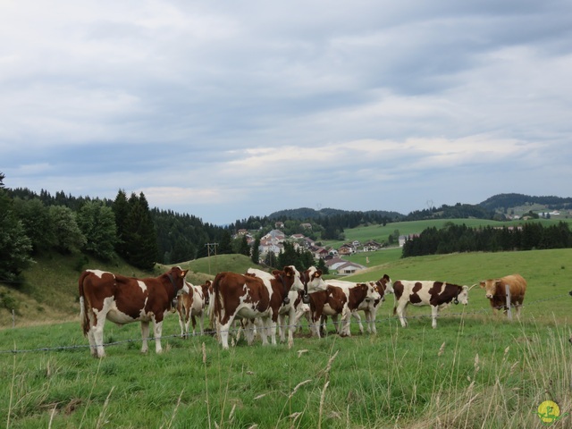 Randonnée joëlettes aux Moussières