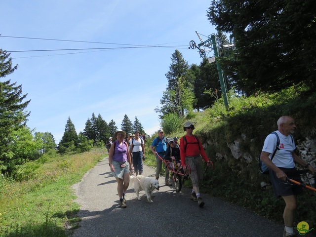 Randonnée joëlettes aux Moussières