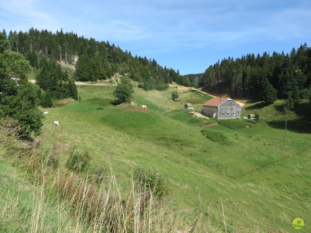 Randonnée joëlettes, Les Moussières