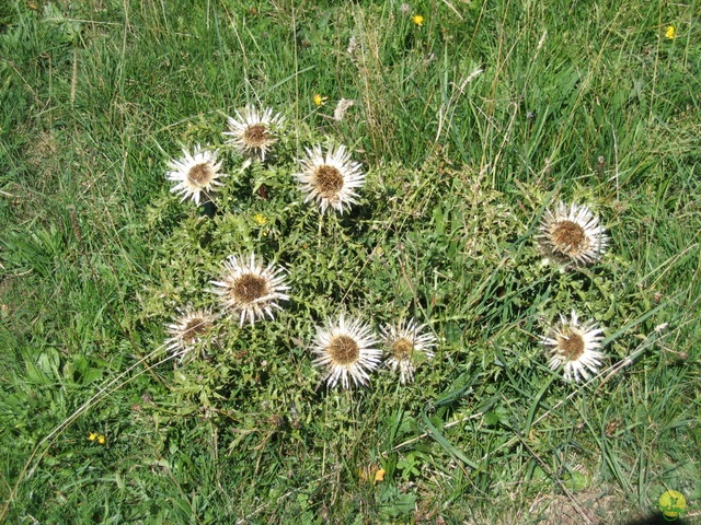 Randonnée joëlettes, Les Moussières