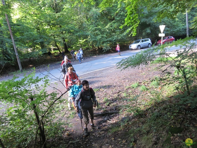 Randonnée joëlettes à Jemeppe