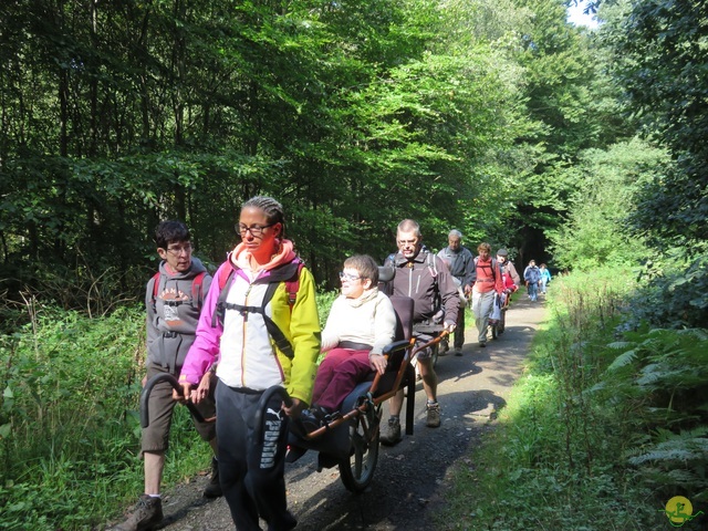 Randonnée joëlettes à Jemeppe