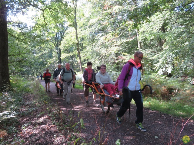 Randonnée joëlettes à Jemeppe