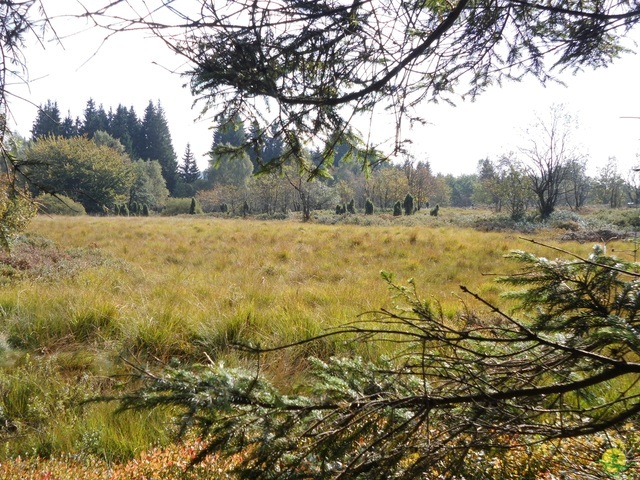 Randonnée joëlettes, Fagnes 2015