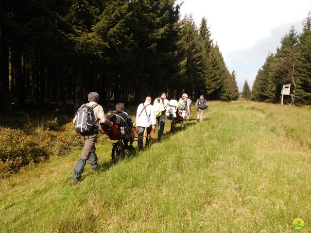 Randonnée joëlettes, Fagnes 2015