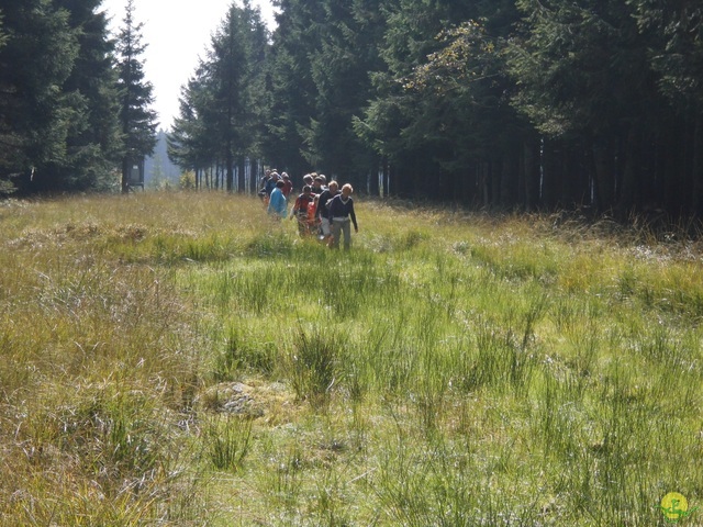 Randonnée joëlettes, Fagnes 2015