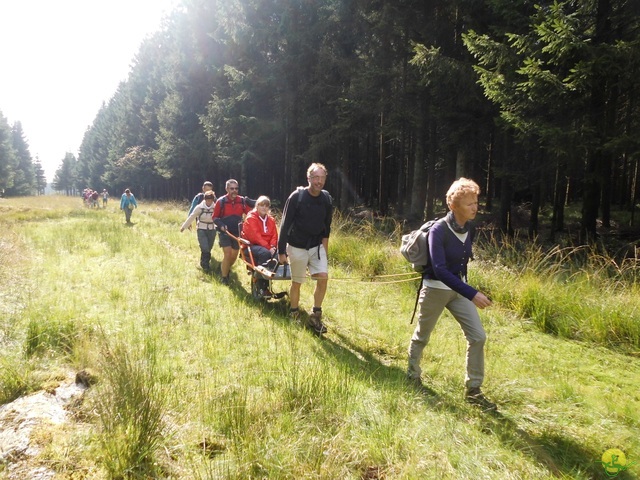 Randonnée joëlettes, Fagnes 2015