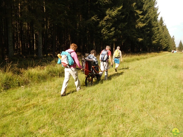 Randonnée joëlettes, Fagnes 2015