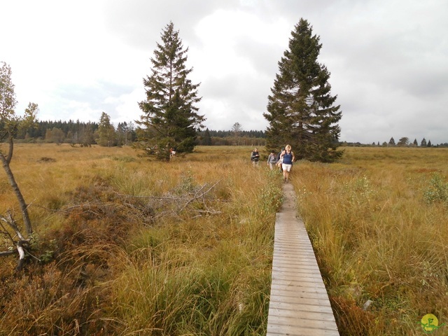 Randonnée joëlettes, Fagnes 2015