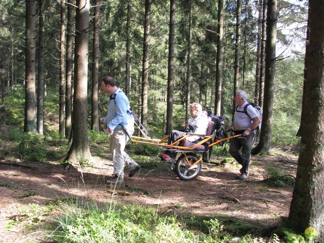 Randonnée joëlettes, Fagnes 2015