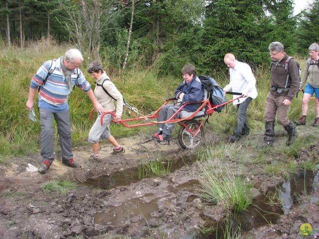 Randonnée joëlettes, Fagnes 2015