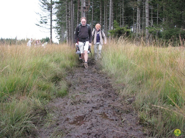 Randonnée joëlettes, Fagnes 2015