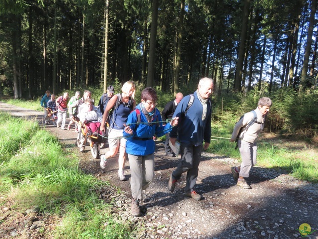 Randonnée joëlettes, Fagnes 2015