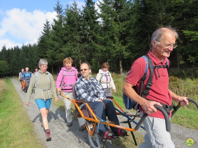 Randonnée joëlettes, Fagnes 2015